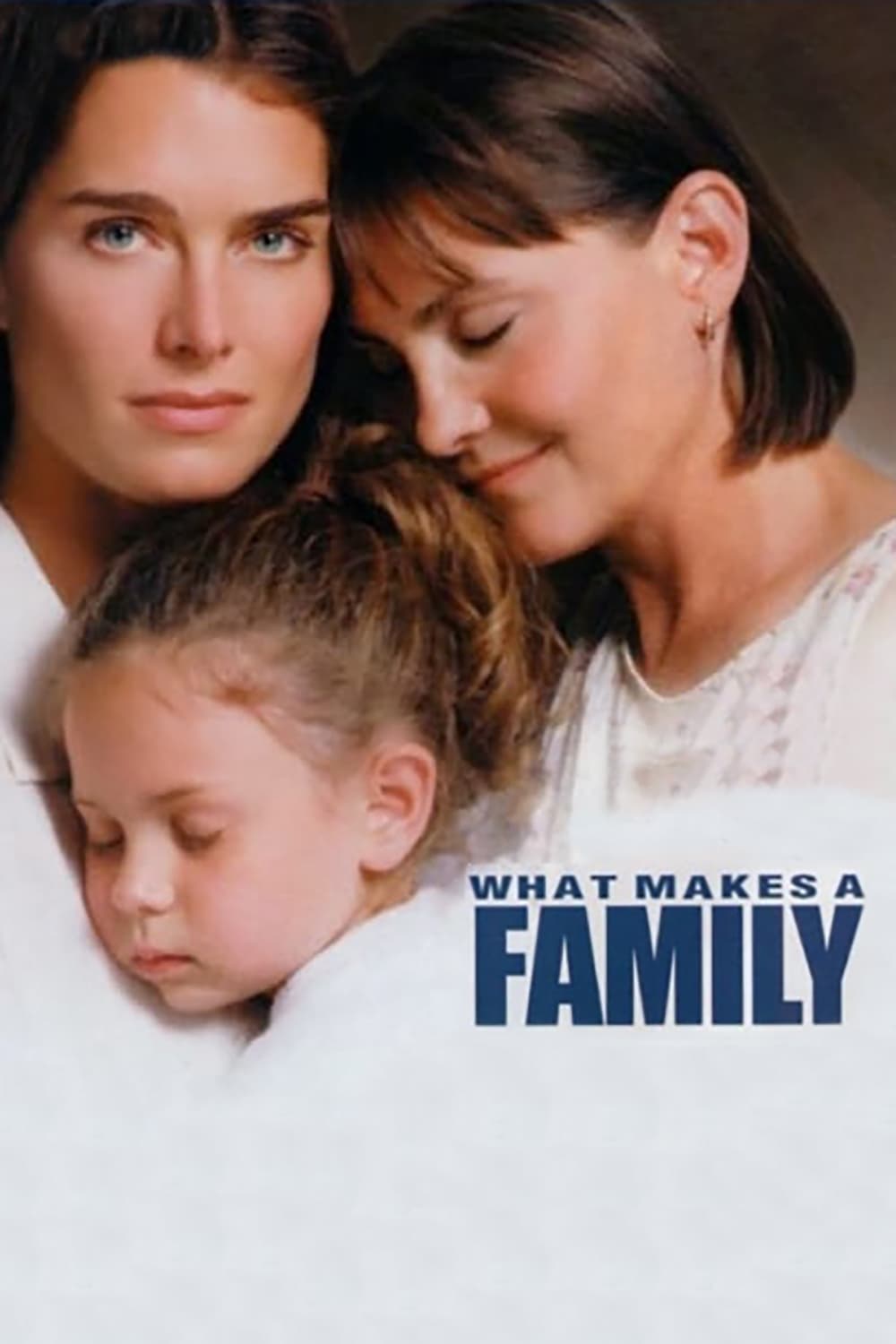 Постер What Makes a Family